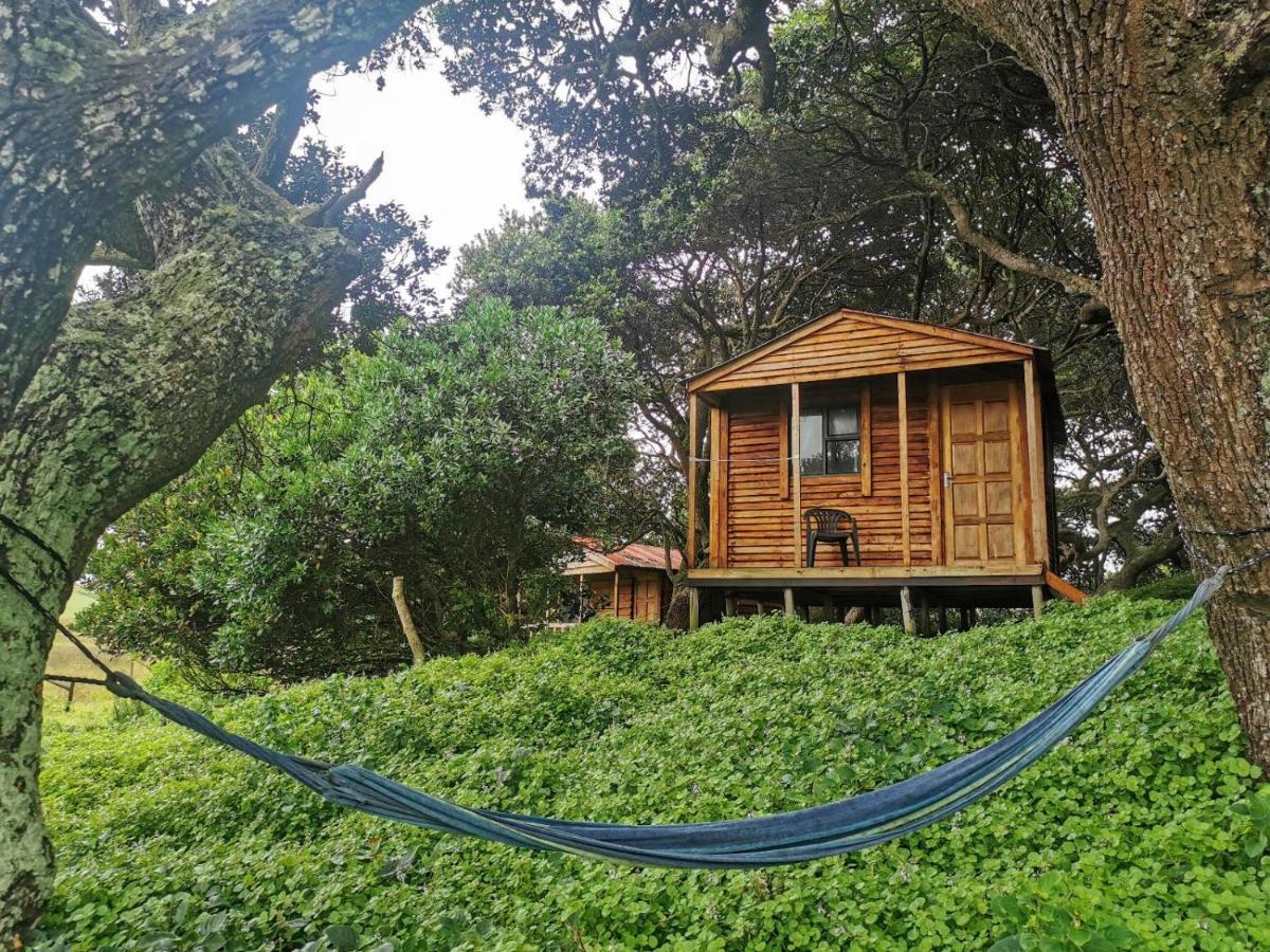 Bulungula Xhosa Community Lodge Oda fotoğraf